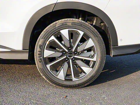 2025�� DM-i �Ǽݰ� 112KM �����