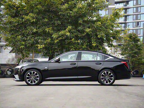 2025�� 28T �����˶���