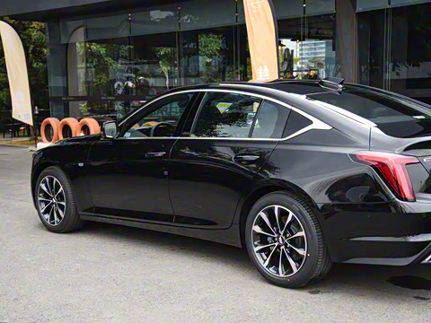 2025�� 28T �����˶���