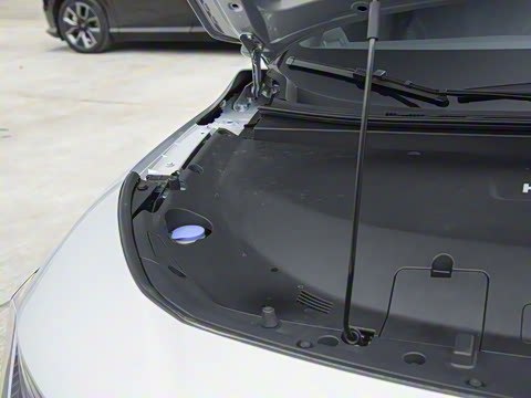 2025�� ����������Max