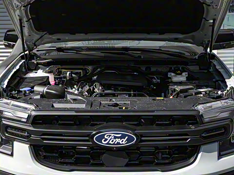 2025�� ɳ���ر�� ����