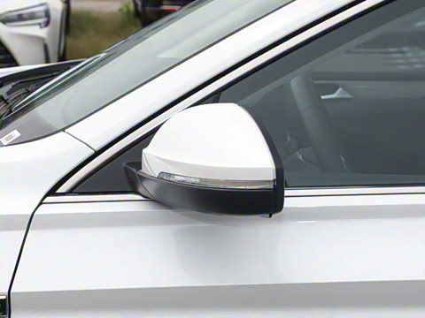 2024�� 300TSI DSG׿Խ��