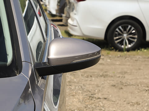 2024�� 300TSI DSG׿Խ��