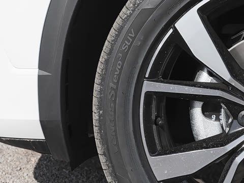 2025�� 300TSI DSG���������