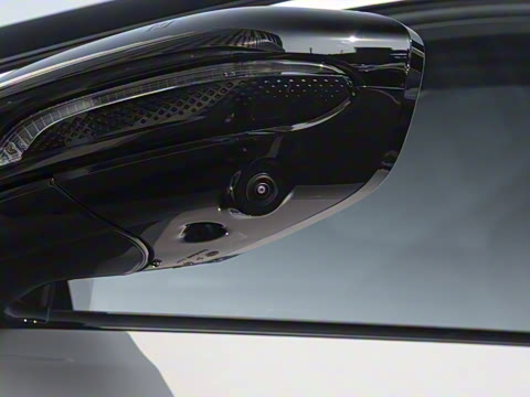 2025�� 730 Max������