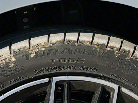 2025�� EV ���������״��콢��