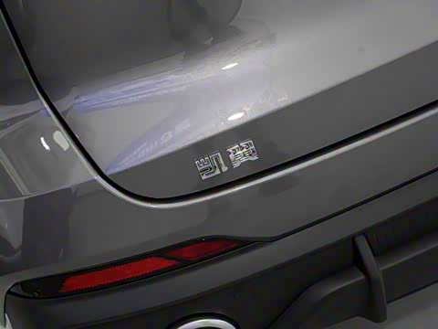 2025�� 1.5T ��ԭ�� 5��