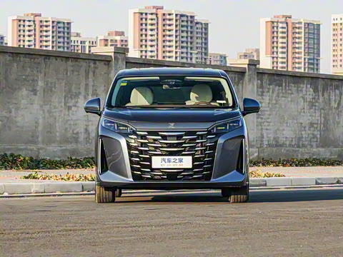 2025�� DM-i 1.5T 180km ��Խ��