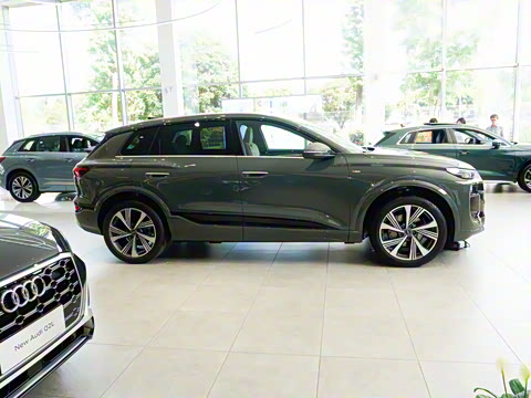 2026�� ����������