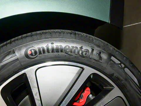 2025�� ���� Pro ���ٸ�����ʻ