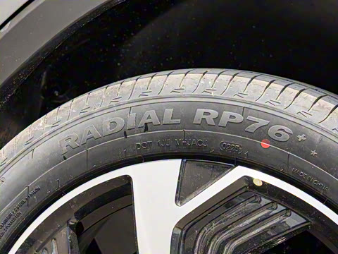 2025�� DM-i �Ǽݰ� 115KM�콢��