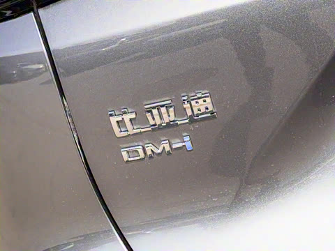 2025�� DM-i �Ǽݰ� 115KM�콢��