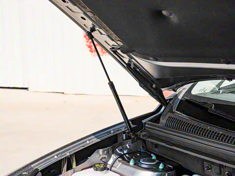 2025�� DM-i �Ǽݰ� 115KM�콢��