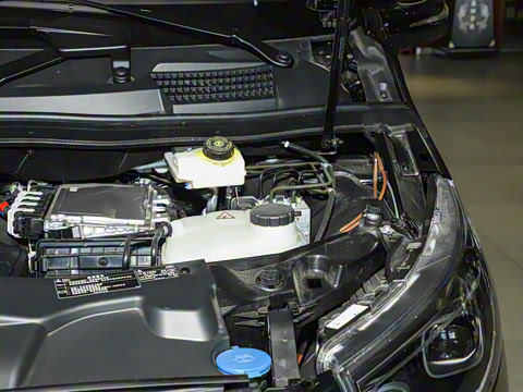 2025�� �������������