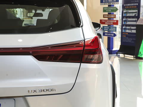 2024�� 300h ̽���