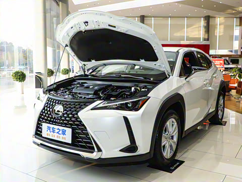 2024�� 300h ̽���