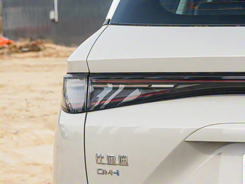 2025�� DM-i �Ǽݰ� 115KM������