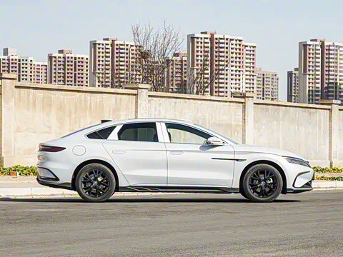 2025�� DM-i �Ǽݰ� 125KM��Ӣ��