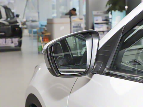 2025�� 1.5T DCT��ԽPRO 5��