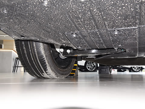 2025�� 625 ������ Max