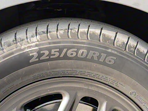 2025�� DM-i �Ǽݰ� 55KM������