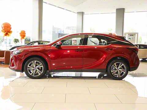 2025�� 300 ����������