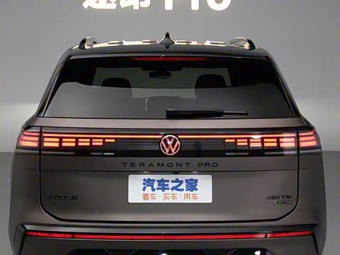 2025�� ;�� Pro 450TSI �����Ƿ��