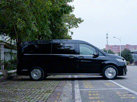 2025�� ��ҫϵ�� 2.0T ���� 7��