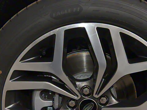 2024�� ��ʤ����L SE Ԧ����ҫ��