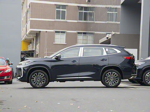 2025�� 300T ������Խ��