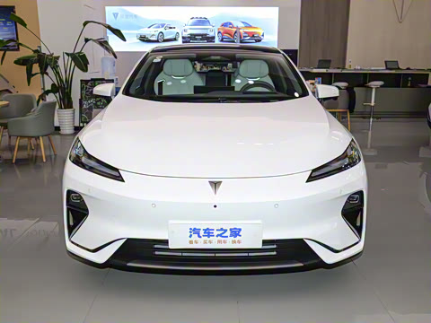 2025�� 300Max  �����Ǽ�AD PRO���̰�