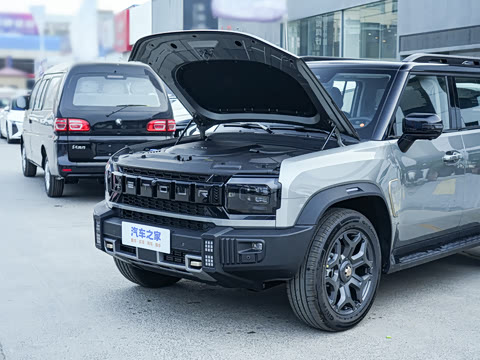 2025�� 2.0TD XWD �Զ�����