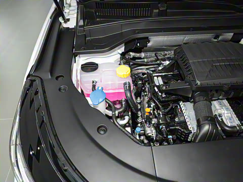 2025�� 120 ������������� 5�� �������