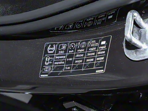 2025�� ���ʽ�춯 �������������ݺ�����