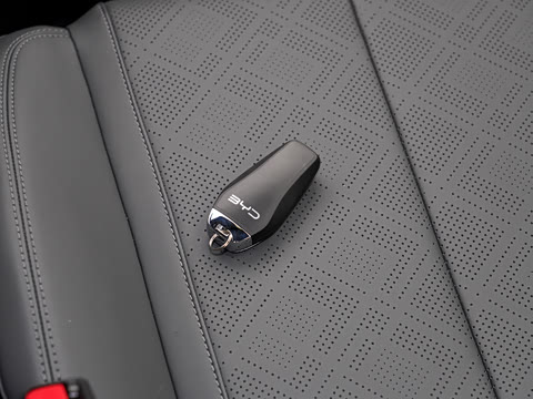 2025�� DM-i �Ǽݰ� 55KM������