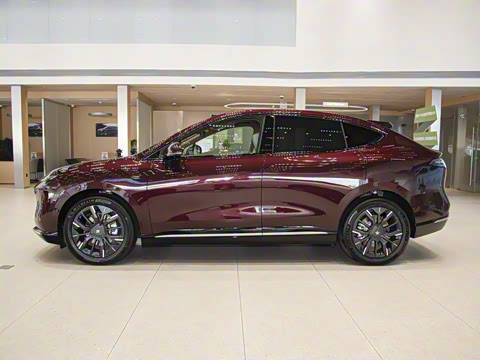 2025�� 825 Max��