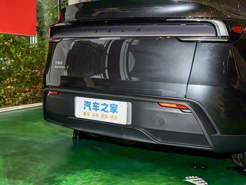 2025�� ����������