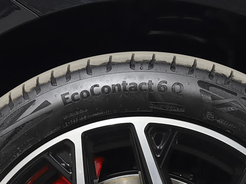 2025�� ���� 565����Max�캽��