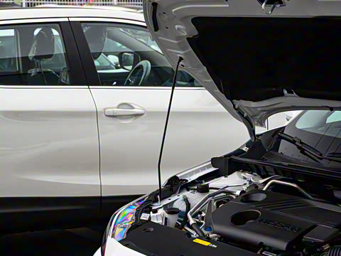 2025�� 1.6L CVT���İ�