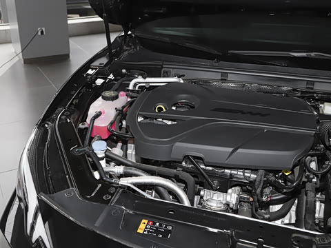 2025�� 2.0T 405 AT������