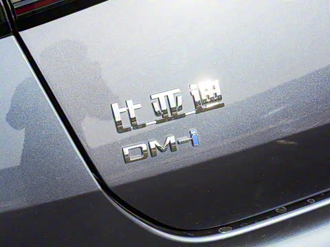 2025�� �Ǽݰ� DM-i 1.5L 125km ������