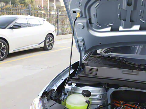 2024�� ���°� 330 Plus��+