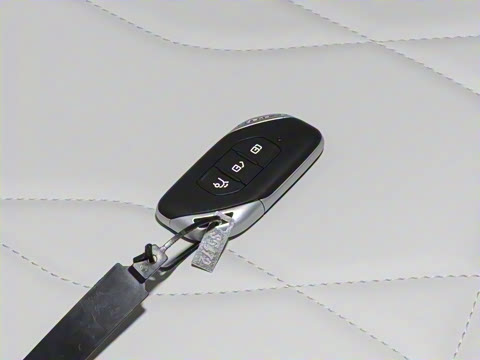 2024�� 1.5TD 100km �й���ϵ�� ������