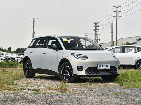 2025�� 330�ǻ԰�