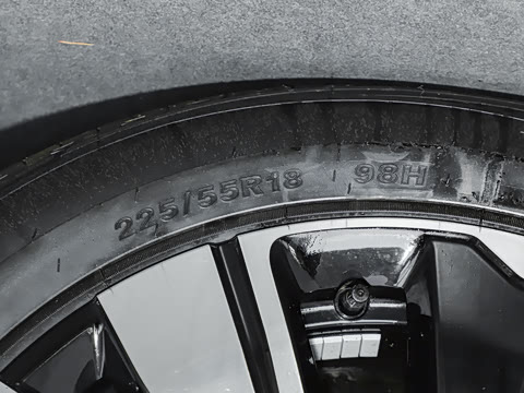 2025�� ��������� 515�����