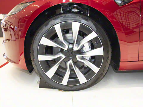 2025�� ����������