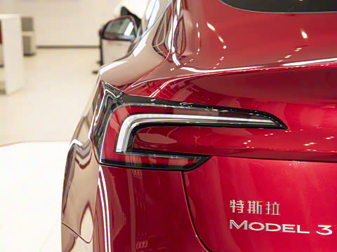 2025�� ����������