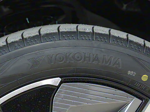 2024�� ������