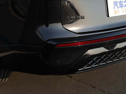 2025�� ;�� Pro 450TSI �����Ƿ��