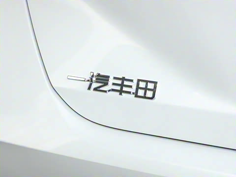 2024�� ˫�� 2.5L XLE����